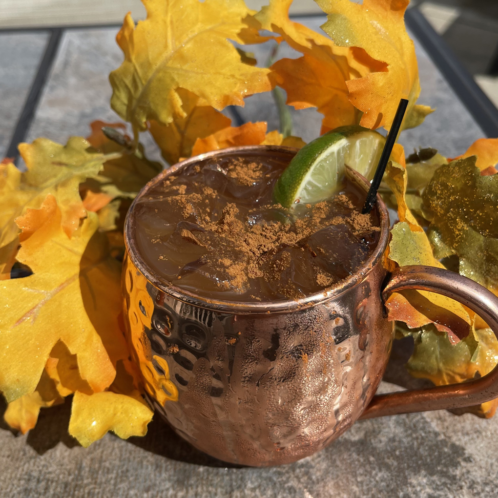 seaonal-mule-cocktail-in-copper-mug